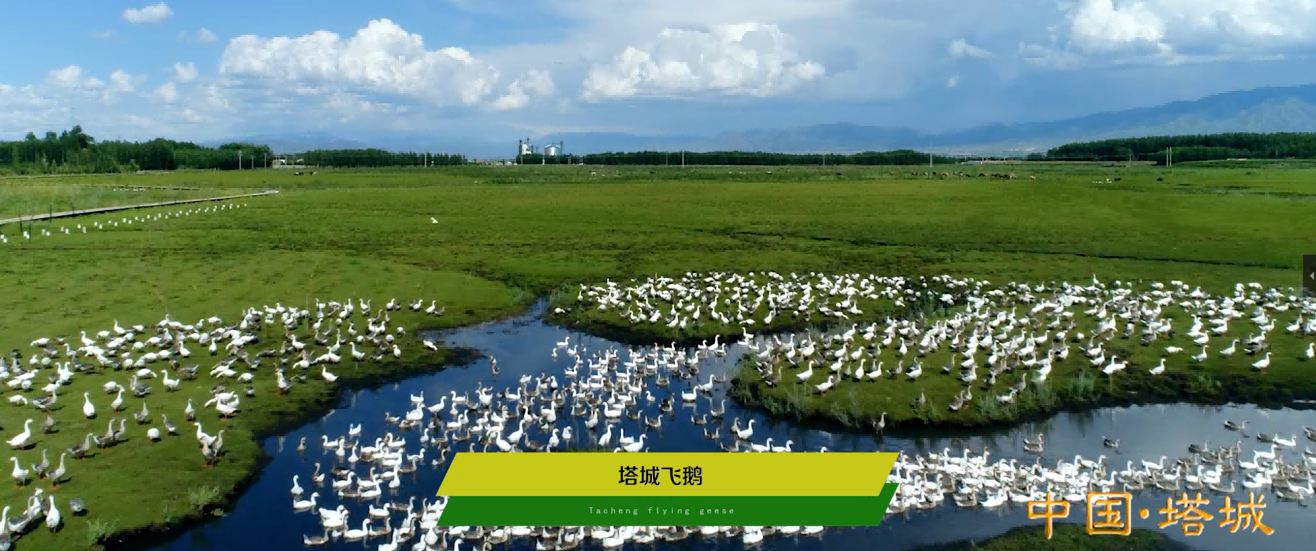 &#76;&#69;&#84;&#79;&#85;&#46;&#67;&#79;&#77;&#45;&#20048;&#25237;&#65288;&#20013;&#22269;&#65289;