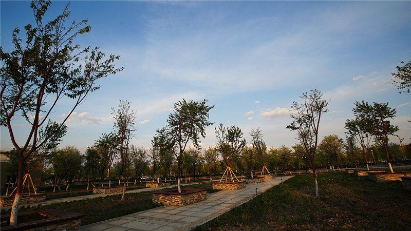 &#76;&#69;&#84;&#79;&#85;&#46;&#67;&#79;&#77;&#45;&#20048;&#25237;&#65288;&#20013;&#22269;&#65289;
